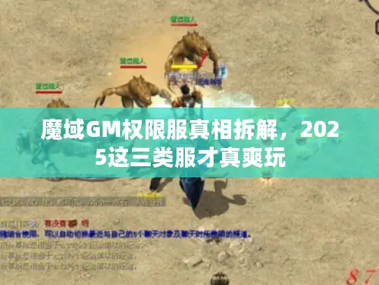 魔域GM权限服真相拆解,2025这三类服才真爽玩 魔域GM权限服真相拆解,2025这三类服才真爽玩