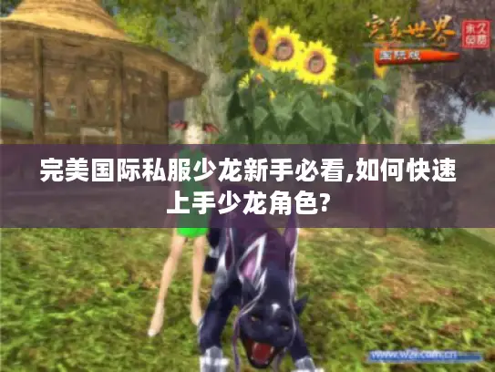 完美国际私服少龙新手必看,如何快速上手少龙角色?