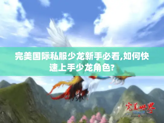 完美国际私服少龙新手必看,如何快速上手少龙角色?