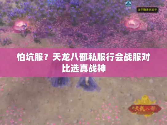 怕坑服?天龙八部私服行会战服对比选真战神 怕坑服?天龙八部私服行会战服对比选真战神