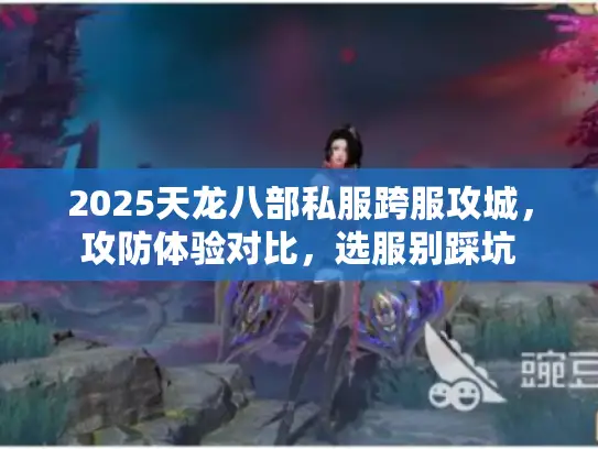 2025天龙八部私服跨服攻城，攻防体验对比，选服别踩坑