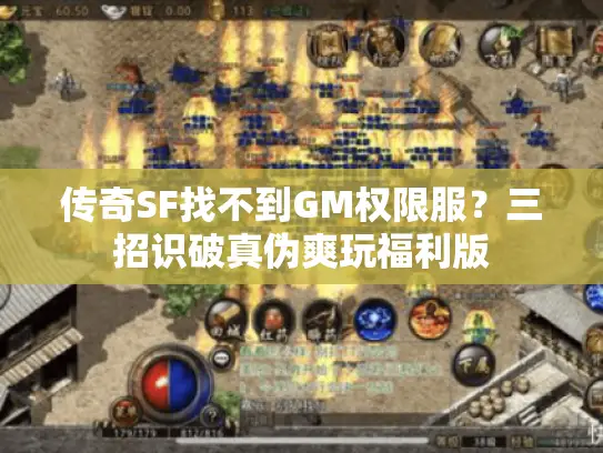 传奇SF找不到GM权限服?三招识破真伪爽玩福利版 传奇SF找不到GM权限服?三招识破真伪爽玩福利版
