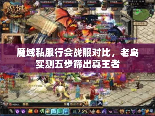 魔域私服行会战服对比，老鸟实测五步筛出真王者
