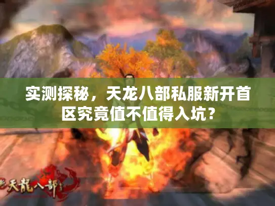 实测探秘,天龙八部私服新开首区究竟值不值得入坑? 实测探秘,天龙八部私服新开首区究竟值不值得入坑?