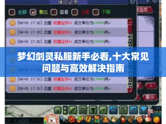 梦幻剑灵私服新手必看,十大常见问题与高效解决指南