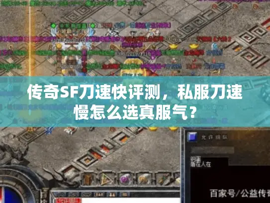 传奇SF刀速快评测,私服刀速慢怎么选真服气? 传奇SF刀速快评测,私服刀速慢怎么选真服气?