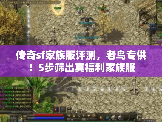 传奇sf家族服评测，老鸟专供！5步筛出真福利家族服