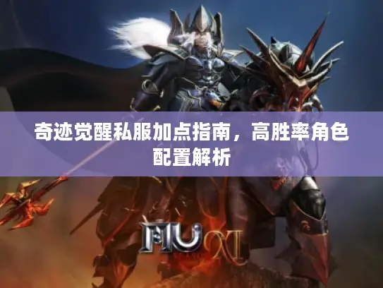 奇迹觉醒私服加点指南，高胜率角色配置解析