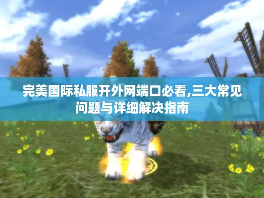 完美国际私服开外网端口必看,三大常见问题与详细解决指南