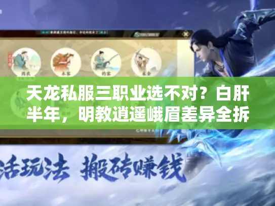 天龙私服三职业选不对？白肝半年，明教逍遥峨眉差异全拆解