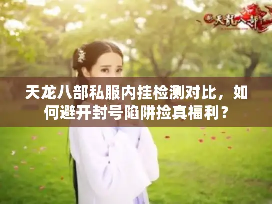 天龙八部私服内挂检测对比，如何避开封号陷阱捡真福利？
