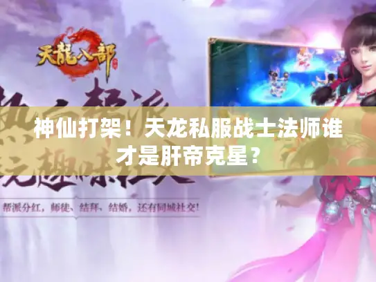 神仙打架！天龙私服战士法师谁才是肝帝克星？