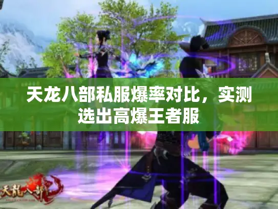 天龙八部私服爆率对比，实测选出高爆王者服