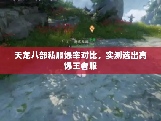 天龙八部私服爆率对比，实测选出高爆王者服