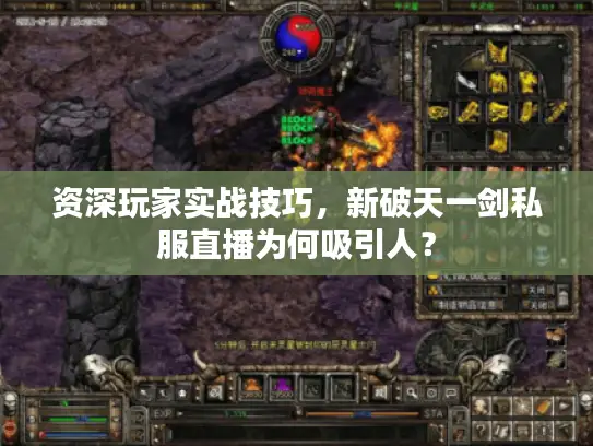 资深玩家实战技巧，新破天一剑私服直播为何吸引人？