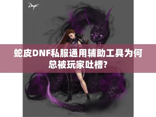蛇皮DNF私服通用辅助工具为何总被玩家吐槽?