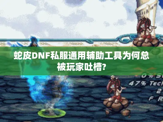 蛇皮DNF私服通用辅助工具为何总被玩家吐槽?