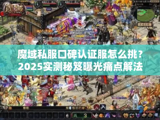 魔域私服口碑认证服怎么挑？2025实测秘笈曝光痛点解法