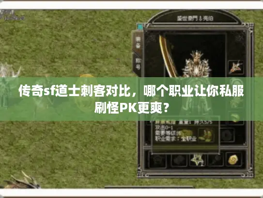 传奇sf道士刺客对比，哪个职业让你私服刷怪PK更爽？
