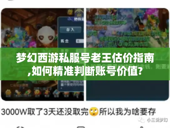 梦幻西游私服号老王估价指南,如何精准判断账号价值?