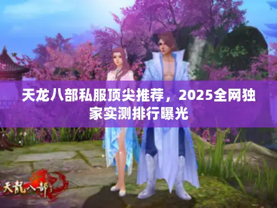 天龙八部私服顶尖推荐，2025全网独家实测排行曝光
