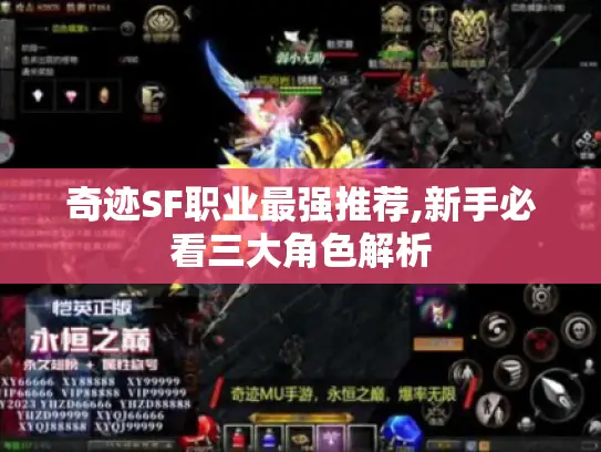 奇迹SF职业最强推荐,新手必看三大角色解析