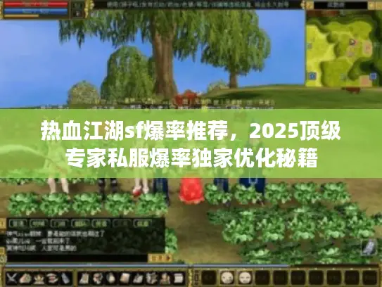 热血江湖sf爆率推荐，2025顶级专家私服爆率独家优化秘籍