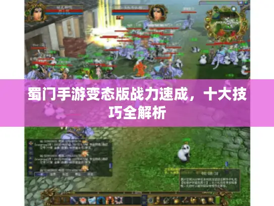 蜀门手游变态版战力速成，十大技巧全解析