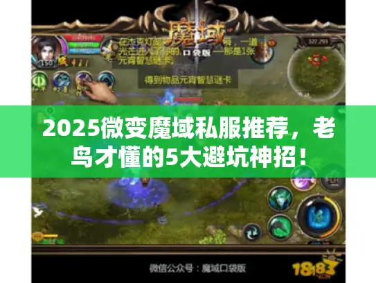2025微变魔域私服推荐，老鸟才懂的5大避坑神招！