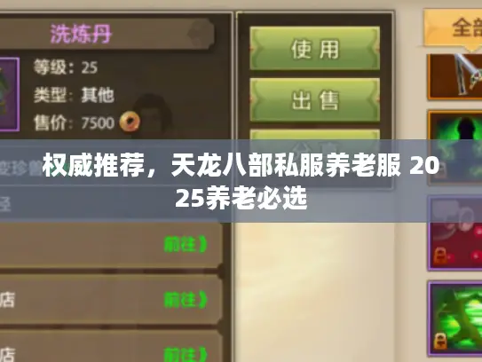 权威推荐,天龙八部私服养老服 2025养老必选 权威推荐,天龙八部私服养老服 2025养老必选