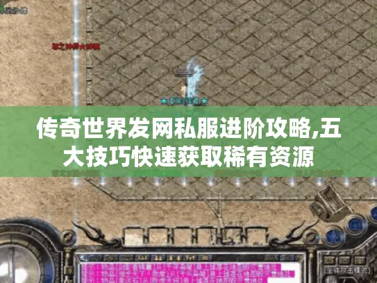 传奇世界发网私服进阶攻略,五大技巧快速获取稀有资源