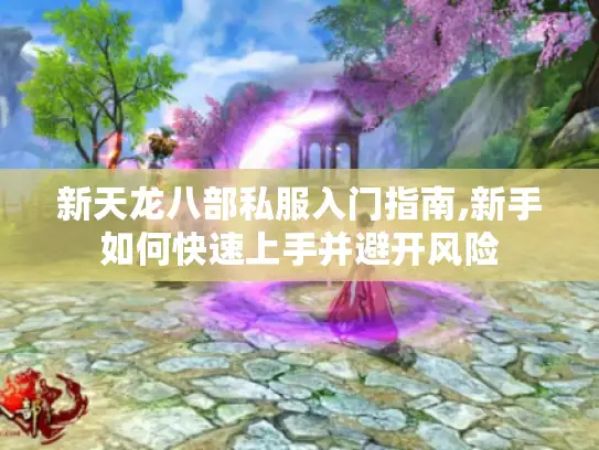 新天龙八部私服入门指南,新手如何快速上手并避开风险
