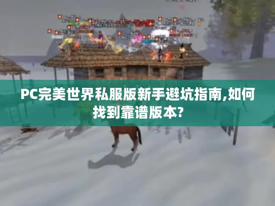 PC完美世界私服版新手避坑指南,如何找到靠谱版本? PC完美世界私服版新手避坑指南,如何找到靠谱版本?
