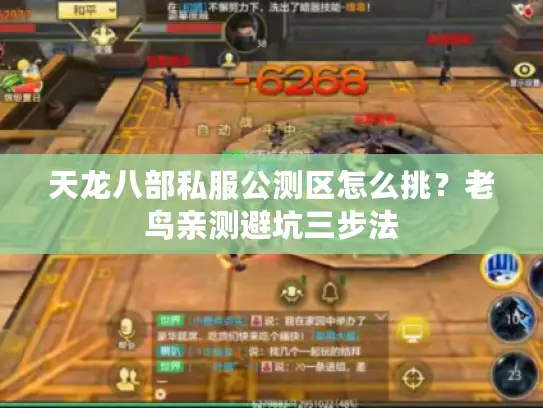 天龙八部私服公测区怎么挑?老鸟亲测避坑三步法 天龙八部私服公测区怎么挑?老鸟亲测避坑三步法
