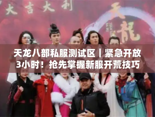 天龙八部私服测试区｜紧急开放3小时！抢先掌握新服开荒技巧