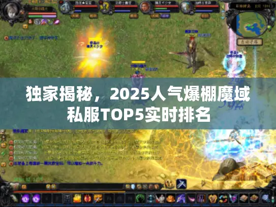 独家揭秘，2025人气爆棚魔域私服TOP5实时排名