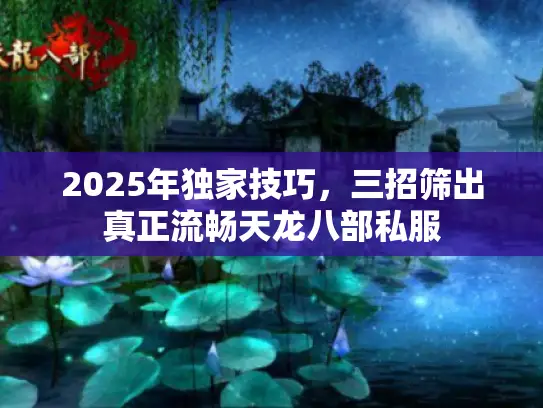 2025年独家技巧，三招筛出真正流畅天龙八部私服