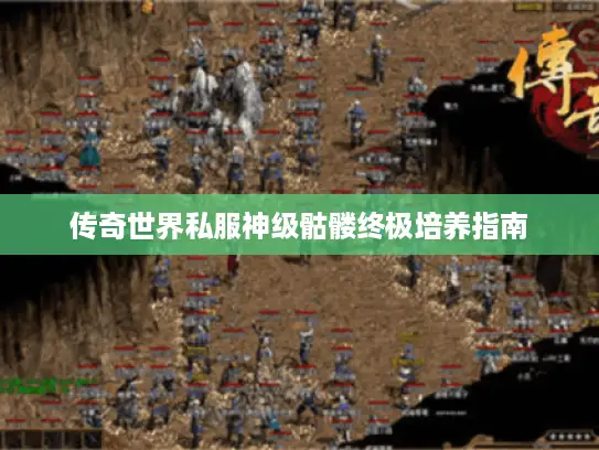 传奇世界私服神级骷髅终极培养指南 传奇世界私服神级骷髅终极培养指南