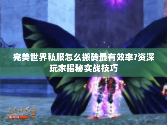 完美世界私服怎么搬砖最有效率?资深玩家揭秘实战技巧