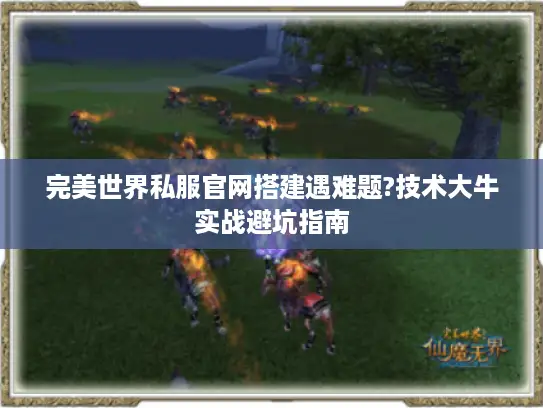 完美世界私服官网搭建遇难题?技术大牛实战避坑指南