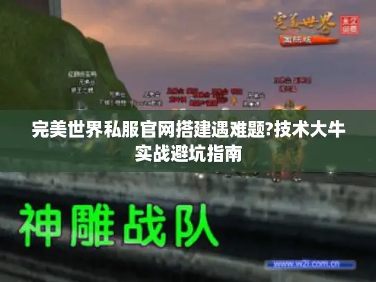 完美世界私服官网搭建遇难题?技术大牛实战避坑指南