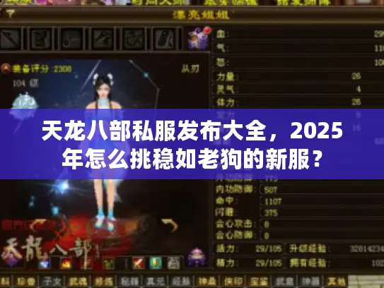 天龙八部私服发布大全，2025年怎么挑稳如老狗的新服？