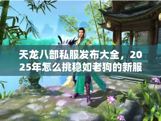天龙八部私服发布大全，2025年怎么挑稳如老狗的新服？