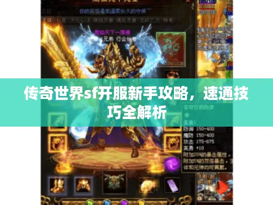 传奇世界sf开服新手攻略，速通技巧全解析