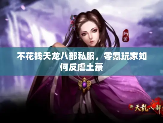 不花钱天龙八部私服,零氪玩家如何反虐土豪 不花钱天龙八部私服,零氪玩家如何反虐土豪