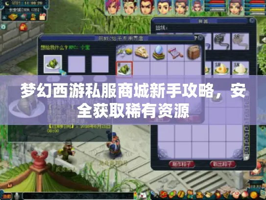 梦幻西游私服商城新手攻略，安全获取稀有资源
