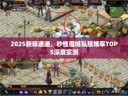 2025新服速递，秒怪魔域私服爆率TOP5深度实测