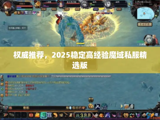 权威推荐，2025稳定高经验魔域私服精选版