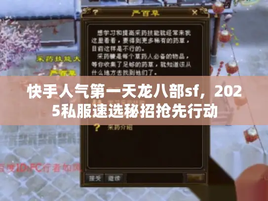 快手人气第一天龙八部sf，2025私服速选秘招抢先行动