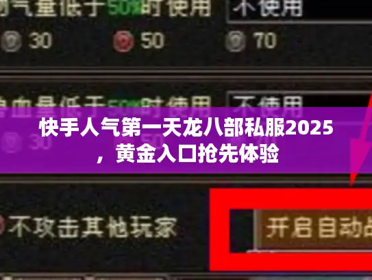 快手人气第一天龙八部私服2025，黄金入口抢先体验
